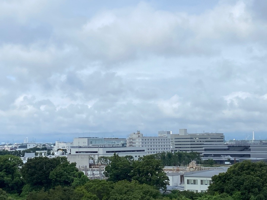 今朝の富士山