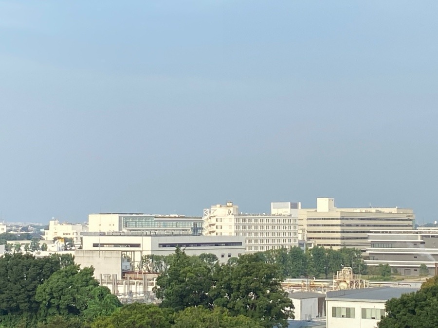 今朝の富士山