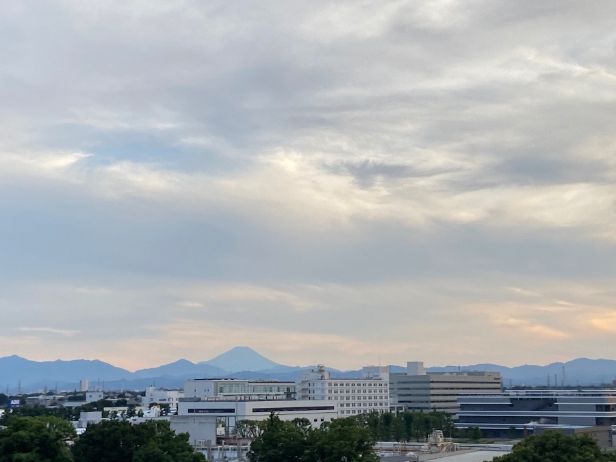 夏の富士山