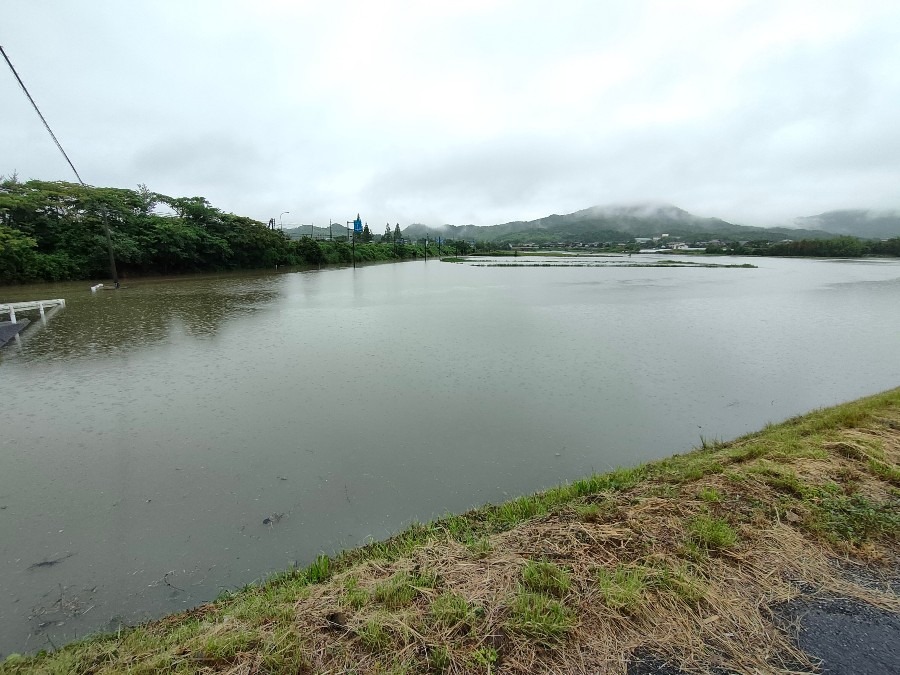 昨夜の大雨で田んぼが海に！！