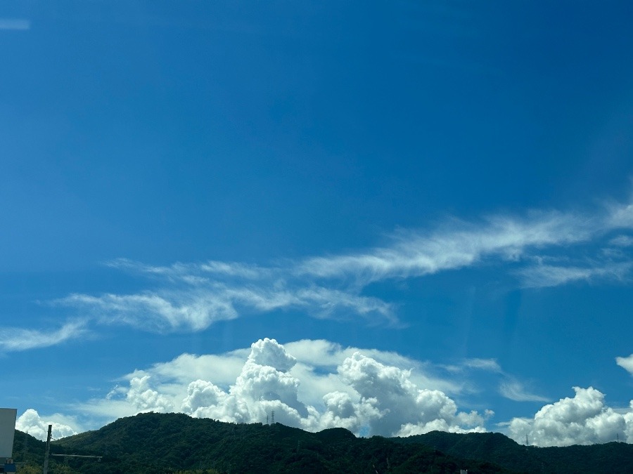 夏空☁️