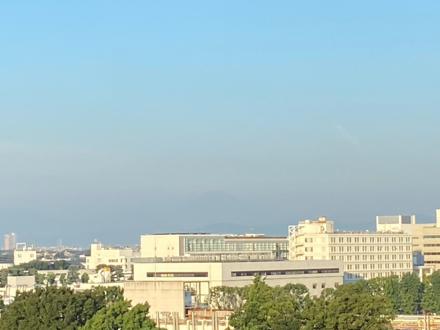 今朝の富士山