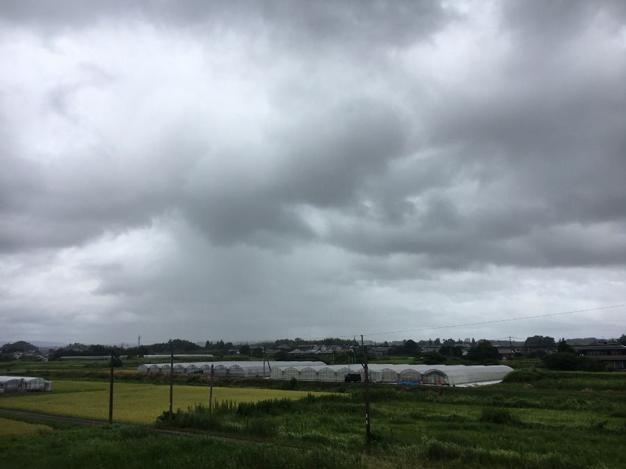 ⭕️空部→ 今日の空（≧∇≦）‼️729.