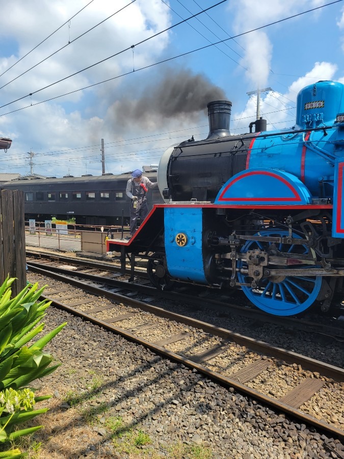 きかんしゃトーマス激レアショット　　大井川鐵道