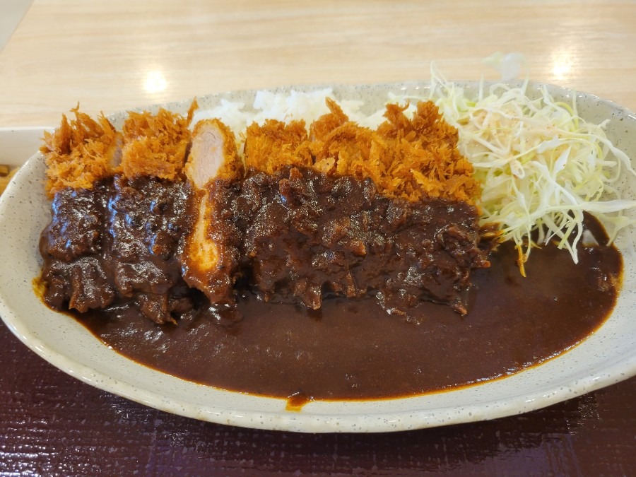 足柄サービスエリアで頂いた、さぼてんさんのヒレカツカレー