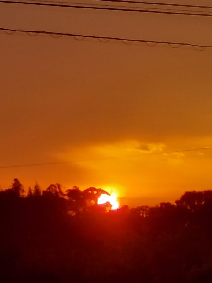 雨上がりの夕焼け