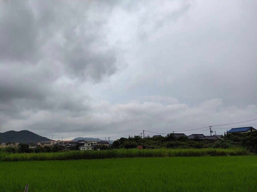 今日、九州北部、山口県梅雨明け！！