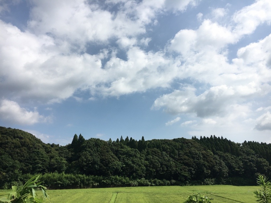 ⭕️空部→ 今日の空（≧∇≦）‼️700.