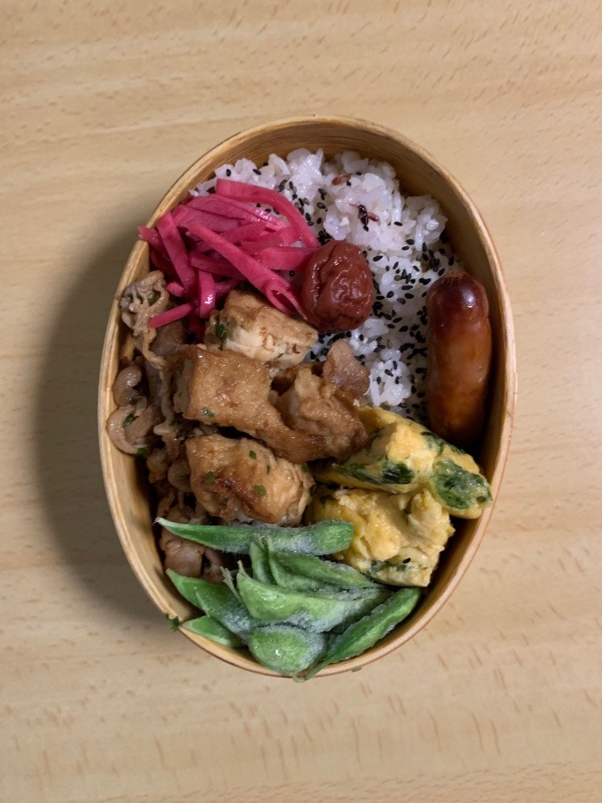 今日のお弁当