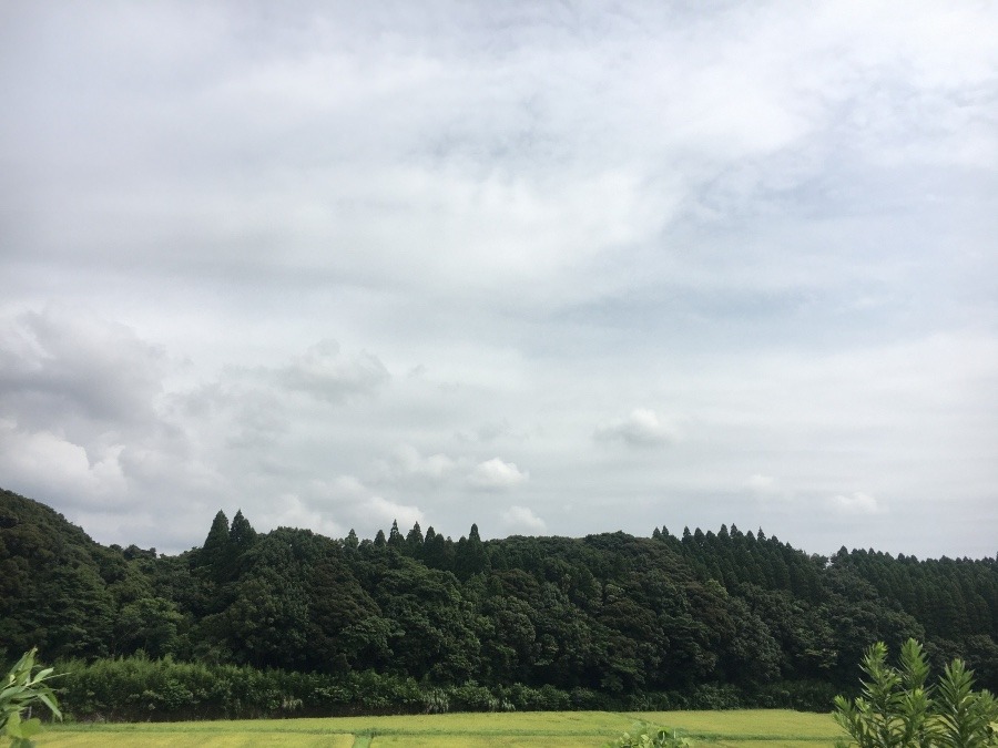 ⭕️空部→ 今日の空（≧∇≦）‼️714.