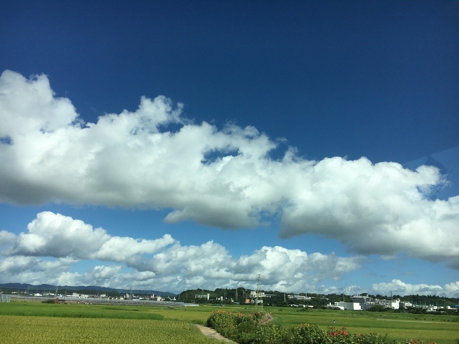 ⭕️空部→ 今日の空（≧∇≦）‼️705.