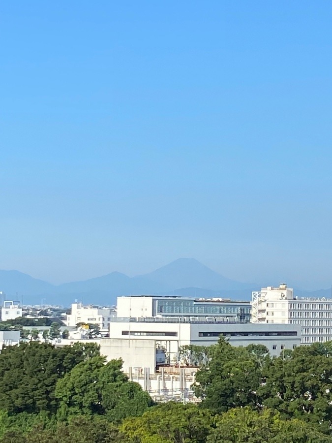 今朝の富士山