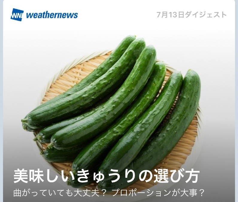 プロポーションが大事な🥒