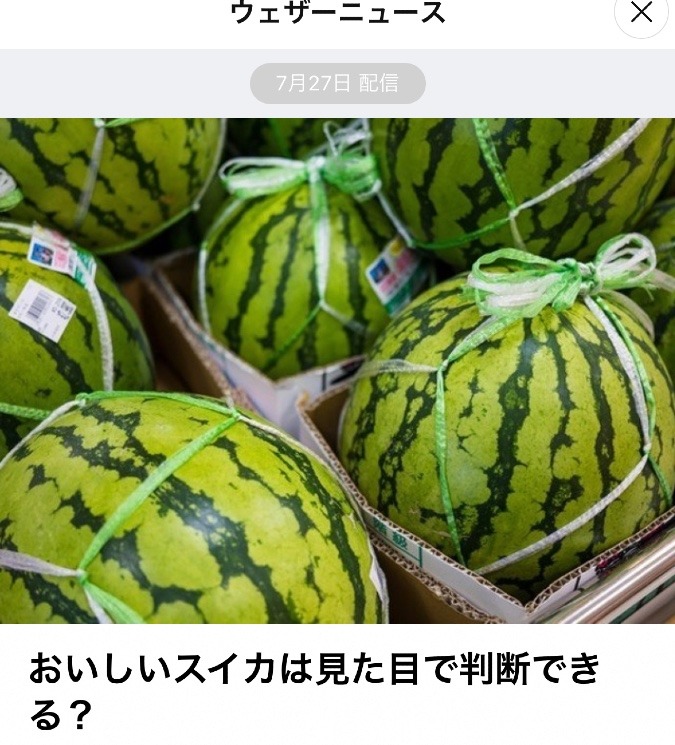 今日もスイカ🍉