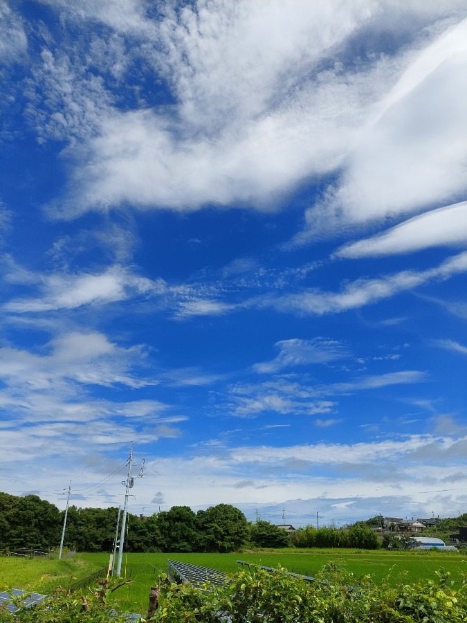 青空～