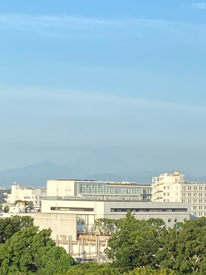 今朝の富士山