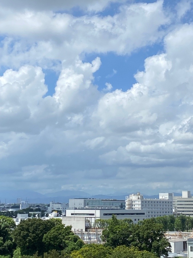 今朝の富士山
