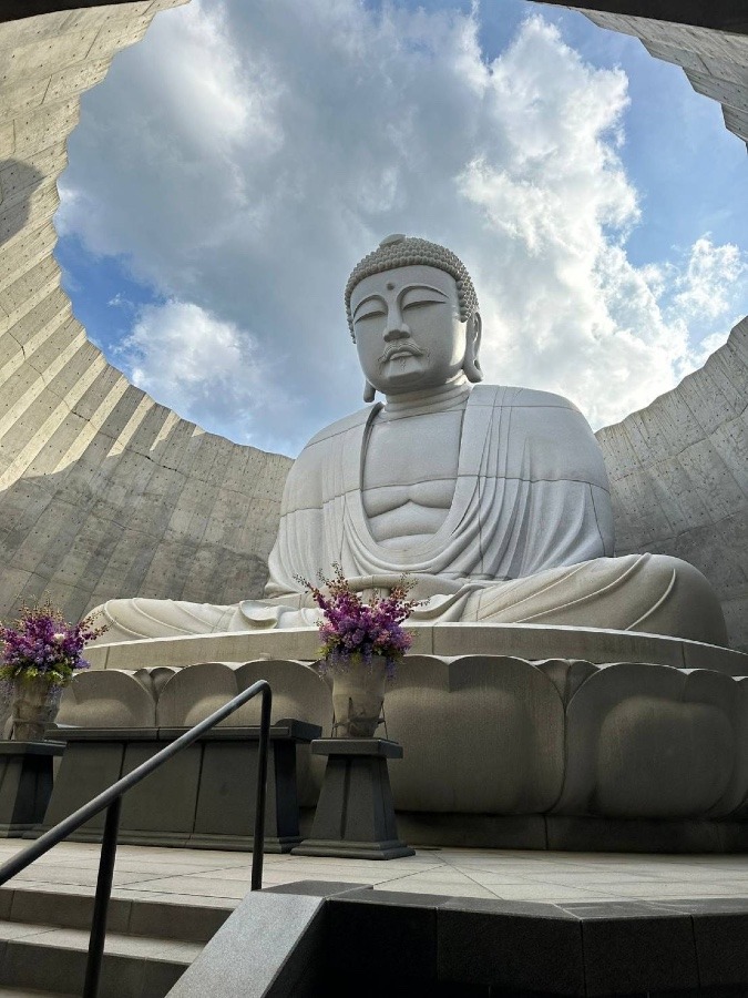 静かに心澄みわたるひとときへ『頭大仏 〜 Hill of The Buddha』by 安藤忠雄