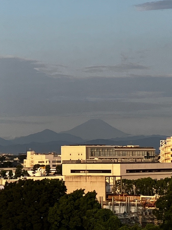 今朝の富士山