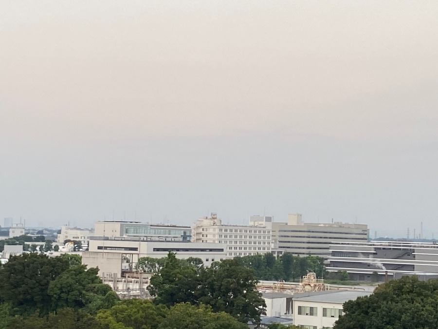 今朝の富士山