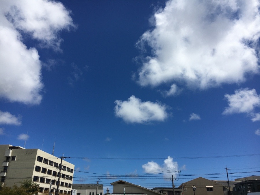 ⭕️空部→ 今日の空（≧∇≦）‼️779.