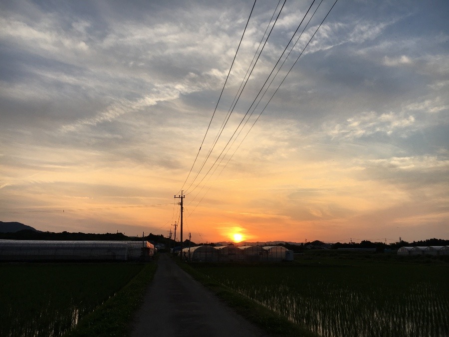 ⭕️ 久しぶりの、夕焼け、(^O^)