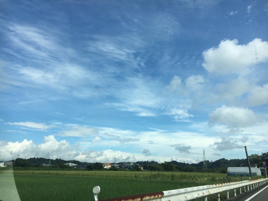 ⭕️空部→ 今日の空（≧∇≦）‼️767.