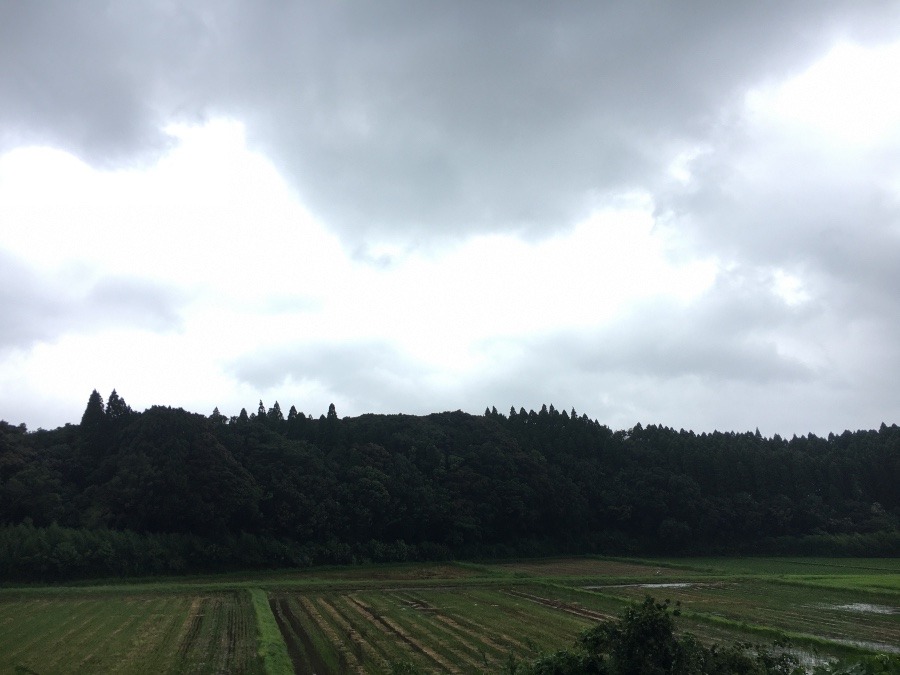 ⭕️空部→ 今日の空（≧∇≦）‼️748.