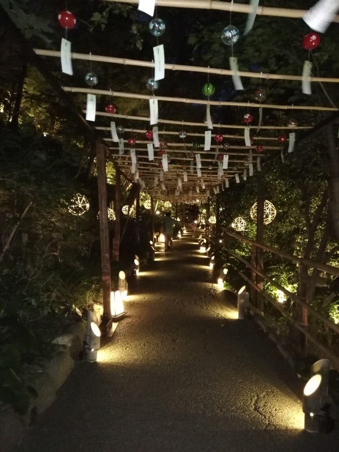 夜の庭園