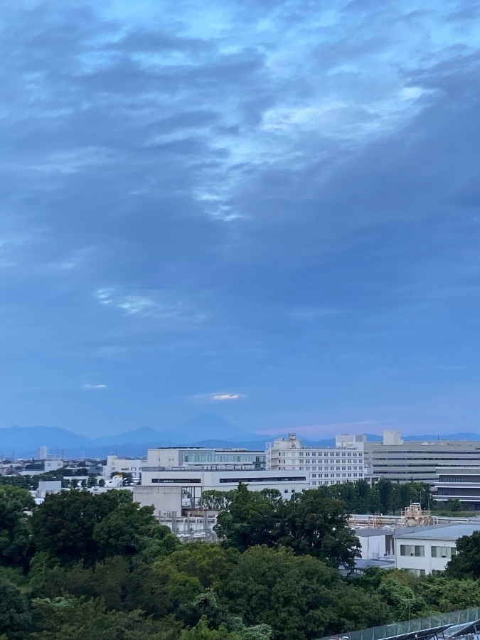 今朝の富士山