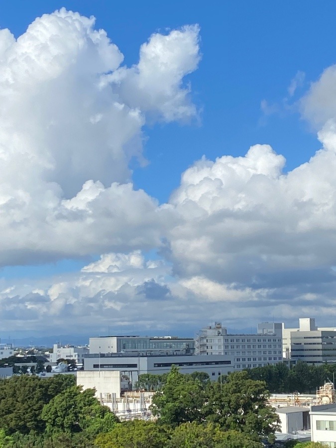 今朝の富士山