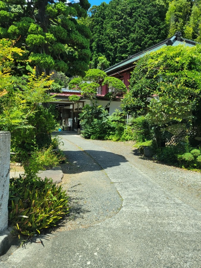 千人風呂金谷旅館の入り口です