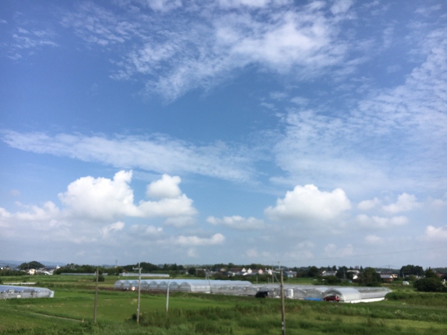 ⭕️空部→ 今日の空（≧∇≦）‼️776.