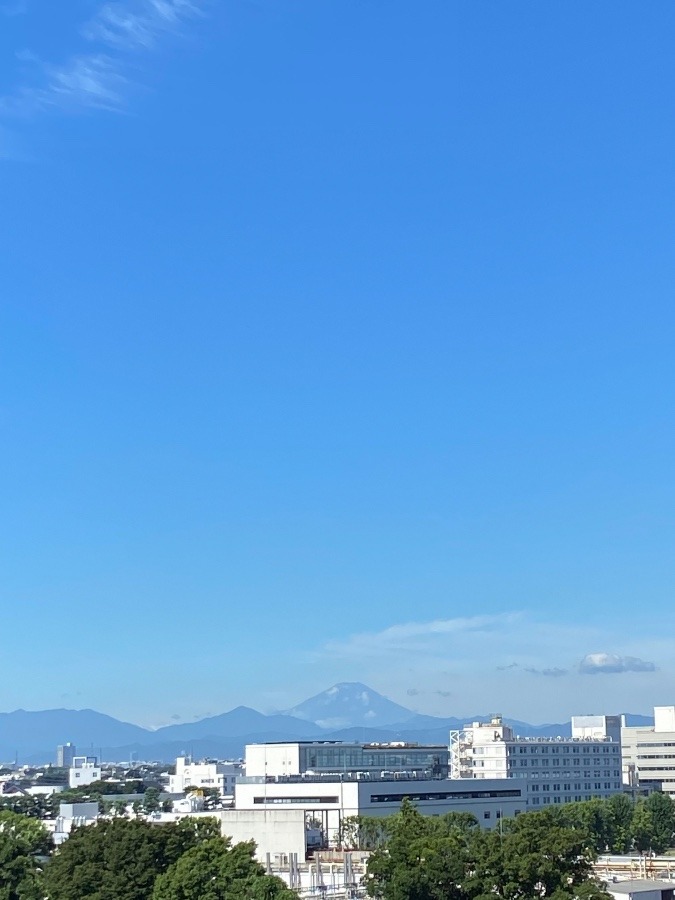 今朝の富士山