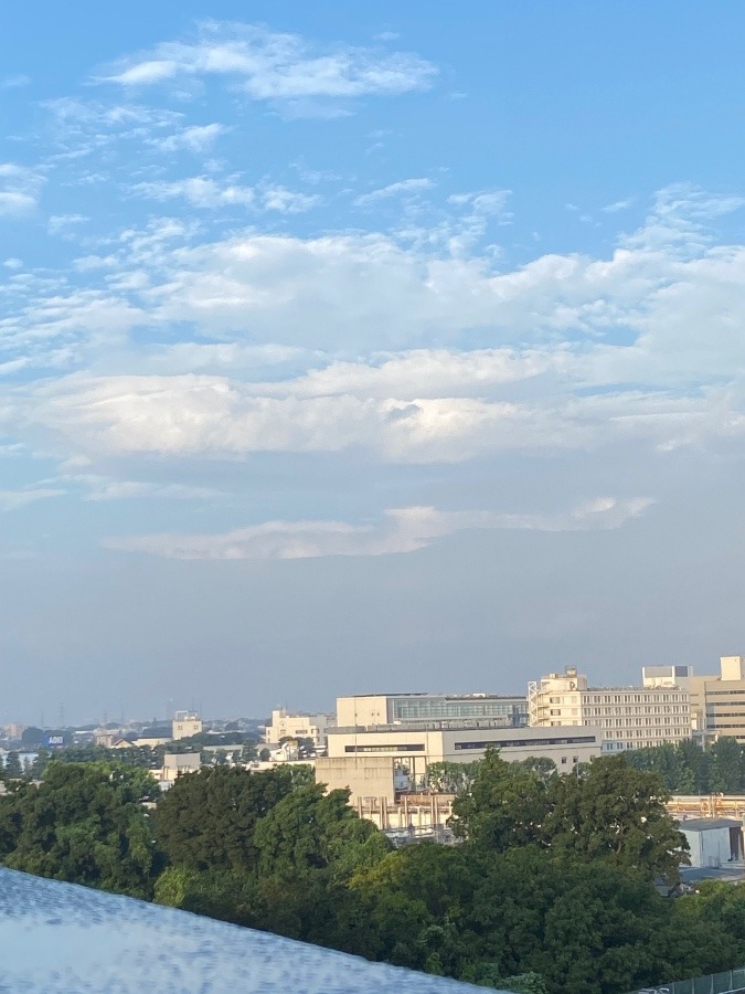 今朝の富士山