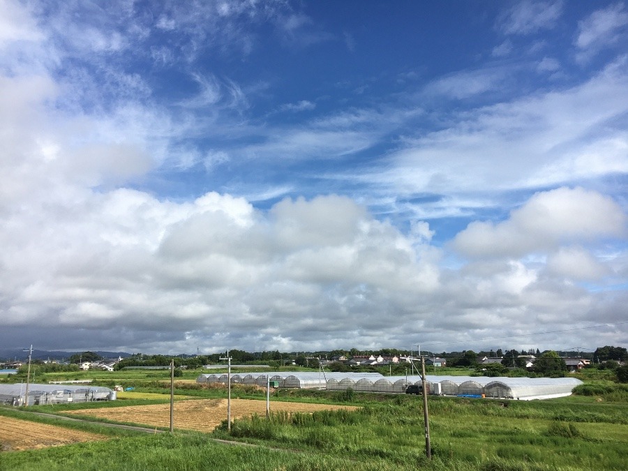 ⭕️空部→ 今日の空（≧∇≦）‼️739.