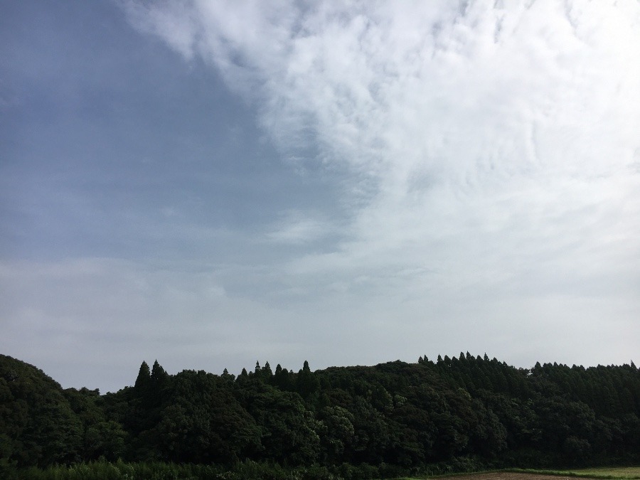 ⭕️空部→ 今日の空（≧∇≦）‼️732.