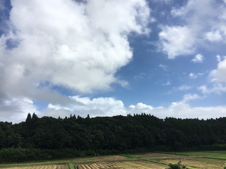 ⭕️空部→ 今日の空（≧∇≦）‼️736.