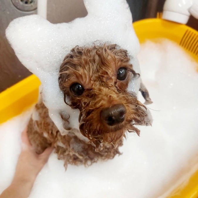 Micro Bubble Bath 〜 マイキーのセレブな時間♡