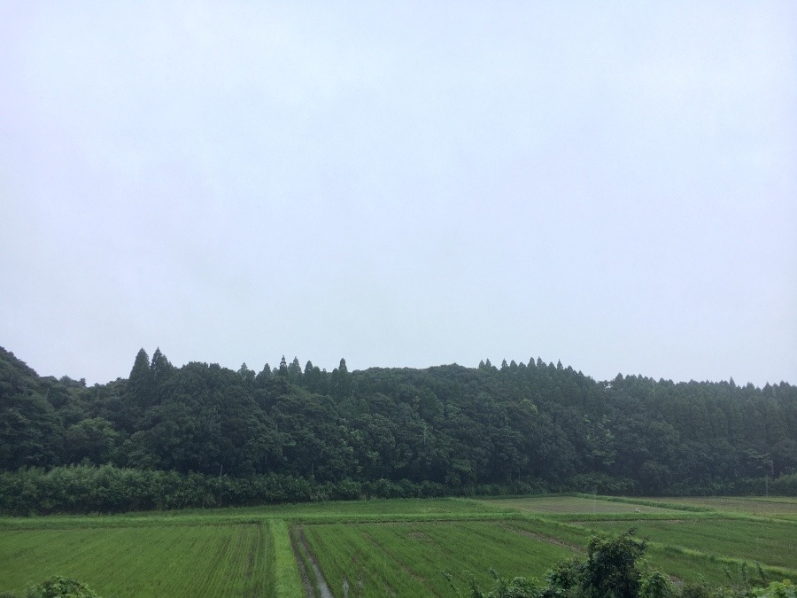 ⭕️空部→ 今日の空（≧∇≦）‼️786.