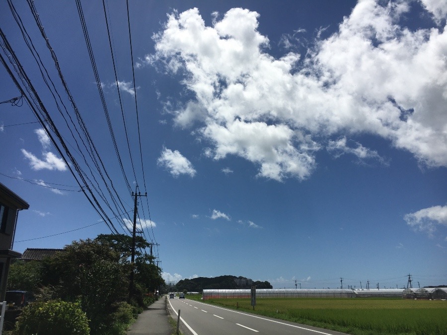 ⭕️空部→ 今日の空（≧∇≦）‼️761.