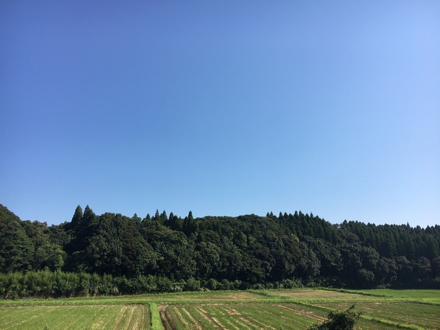 ⭕️空部→ 今日の空（≧∇≦）‼️775.