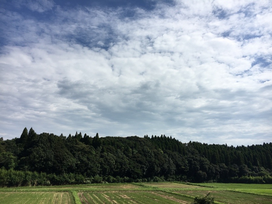 ⭕️空部→ 今日の空（≧∇≦）‼️763.