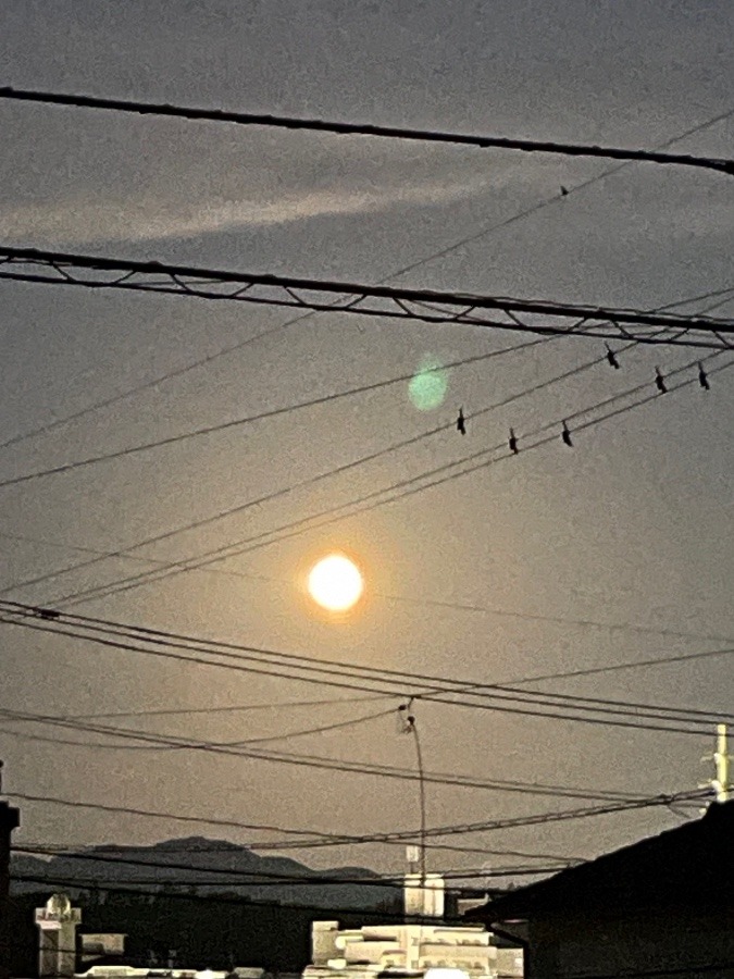 明日は水瓶座の満月🌕