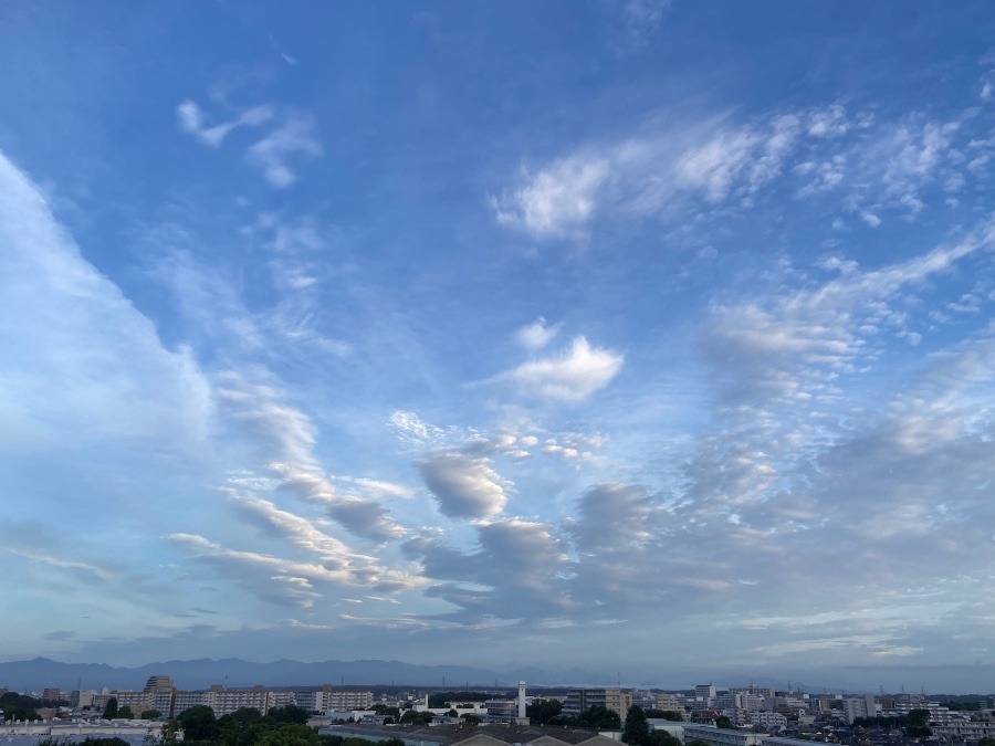 今朝の雲