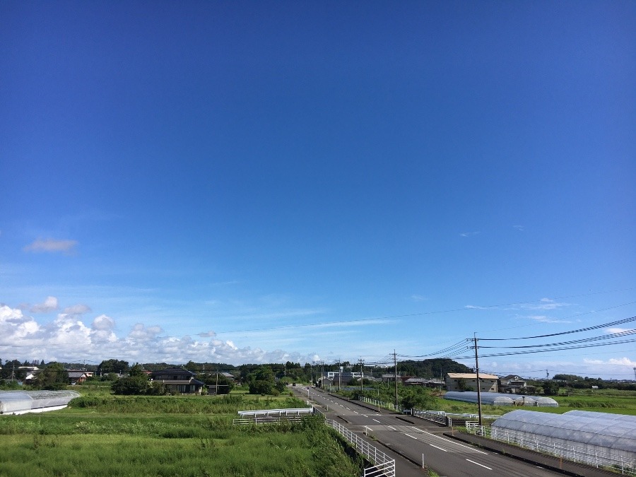 ⭕️空部→ 今日の空（≧∇≦）‼️783.