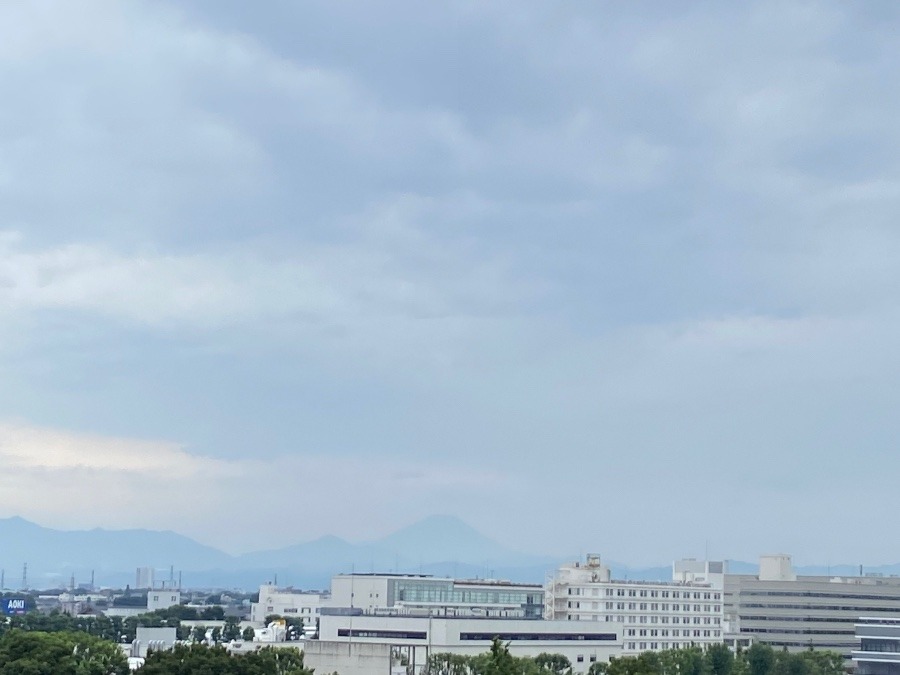 今朝の富士山