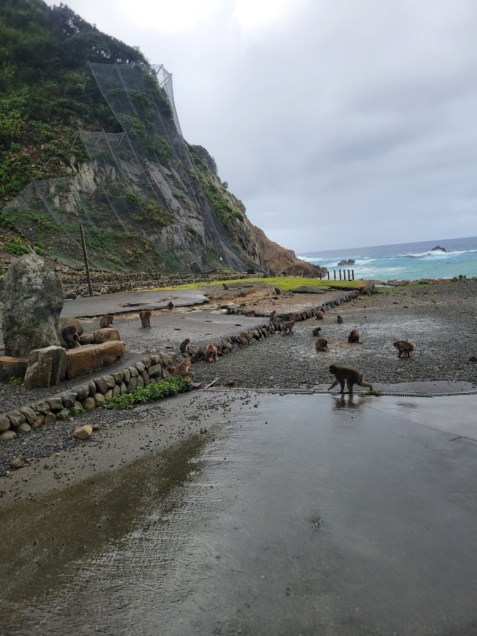 波勝崎モンキーベイ(海岸)へ行って来ました