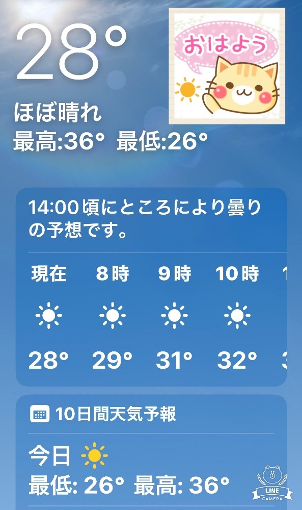 今朝の天気❣️