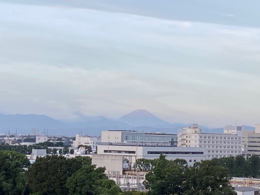 今朝の富士山